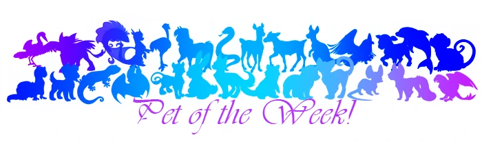 Pet of the Week